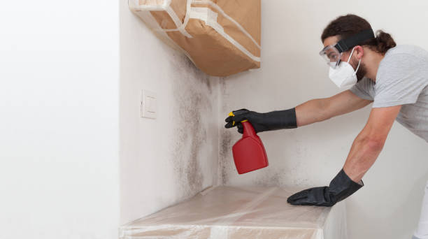 Professional Attic Mold Removal technician working in Clark, NJ