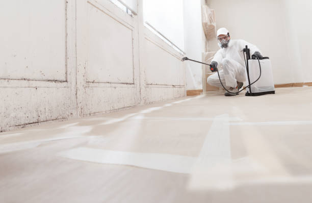 24/7 Emergency Attic Mold Removal experts in Clark, NJ
