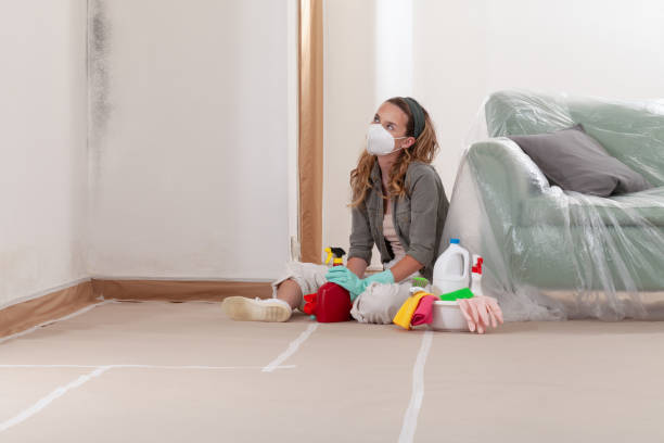 Reliable Attic Mold Removal contractor in Clark, NJ by WQB Mold Removal
